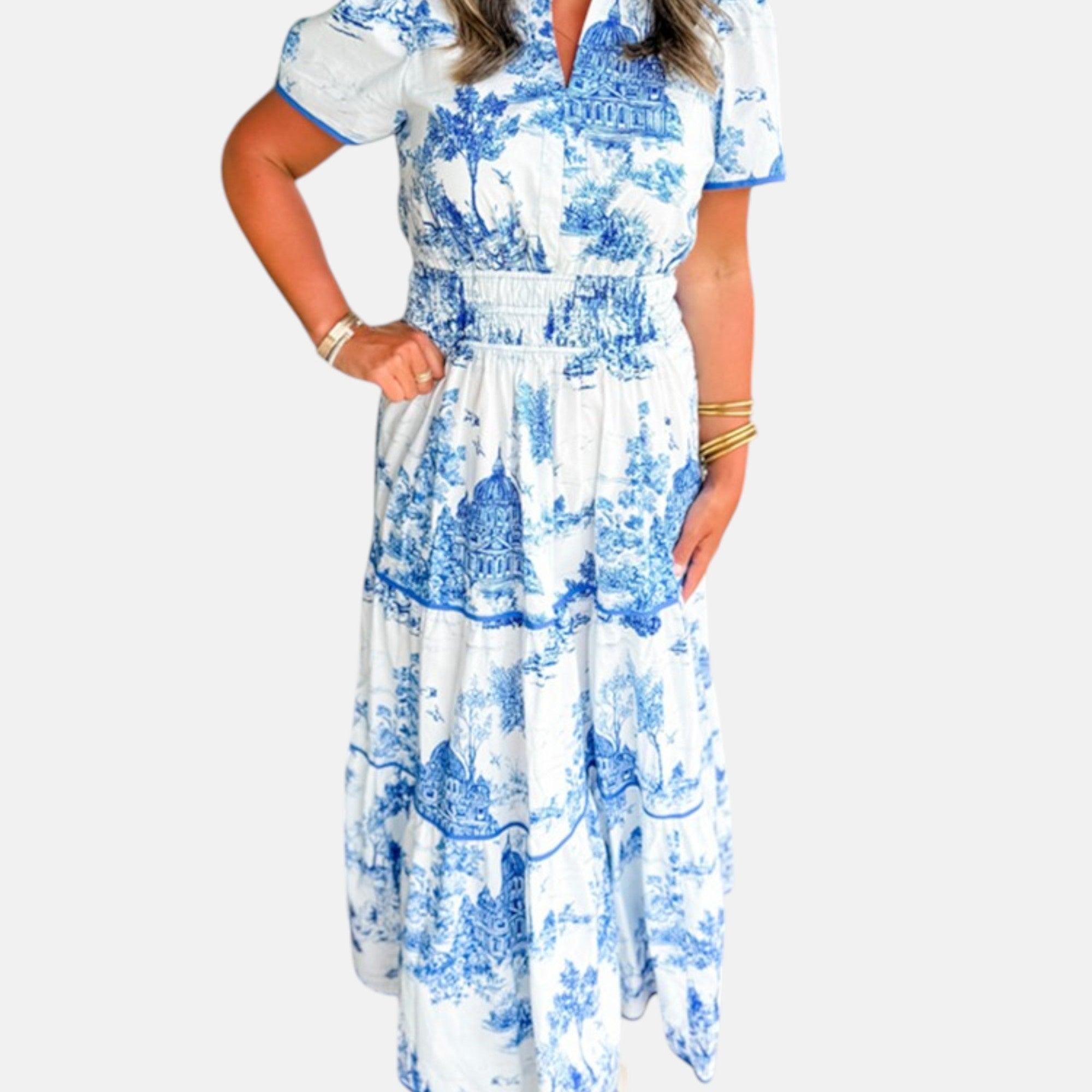 Alejandra - Vestido largo clásico con estampado toile