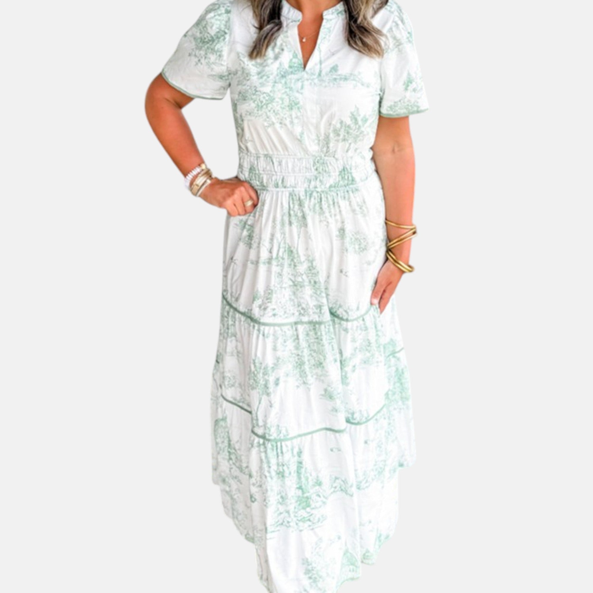 Alejandra - Vestido largo clásico con estampado toile